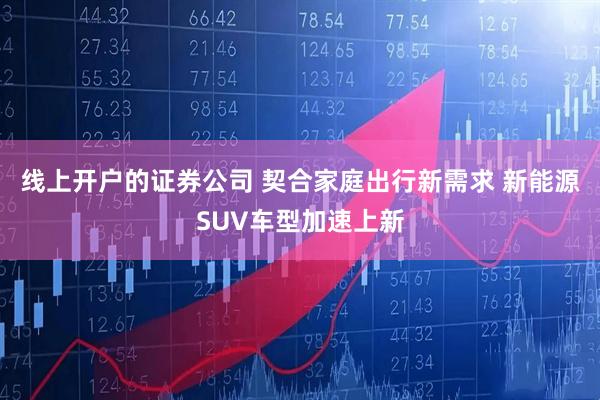 线上开户的证券公司 契合家庭出行新需求 新能源SUV车型加速上新
