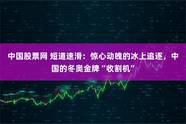 中国股票网 短道速滑：惊心动魄的冰上追逐，中国的冬奥金牌“收割机”